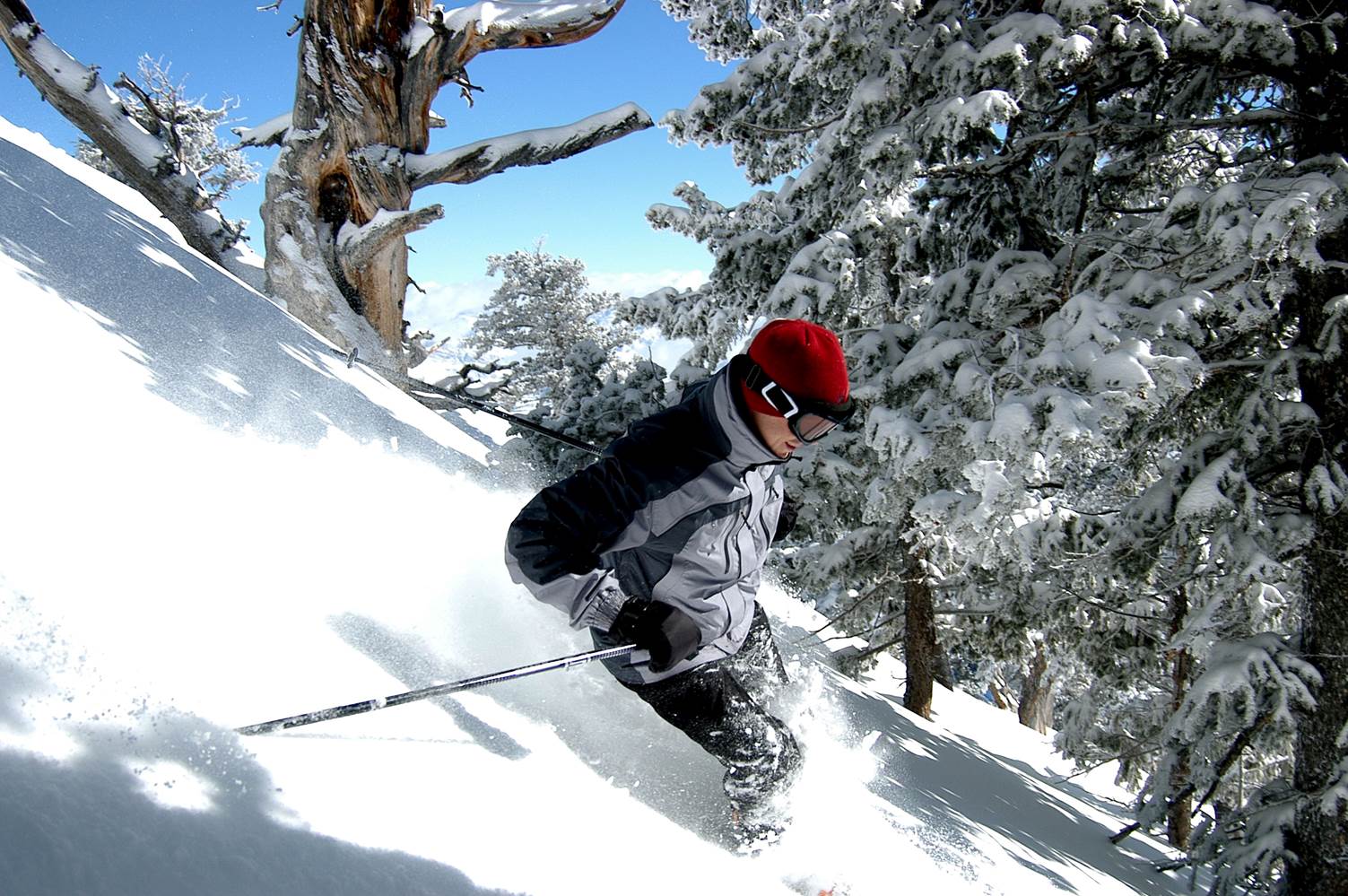 Ski holidays in America for some great powder USA style