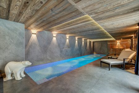 Chalet Freya Indoor Swimming Pool and polar bear