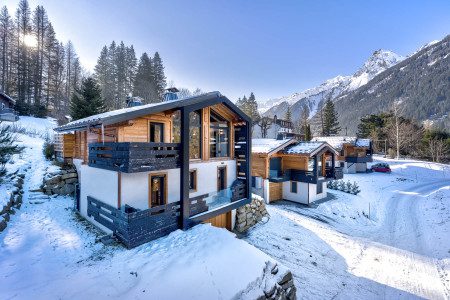 Chalet Green Forest Winter Exterior