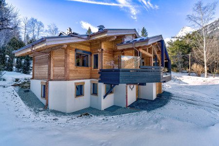 Chalet Silver Forest Winter Exterior