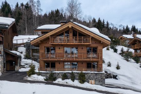 Chalet Harmony exterior with timber balconies, large windows and a snow-covered pitched roof, surrounded by trees and neighbouring chalets.