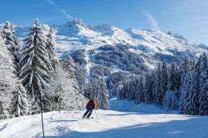 Skier descending a tree-lined piste in Méribel with snow-covered forests and mountain peaks under a clear blue sky.